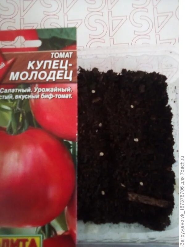 томат f1 купец. томат киржач f1. томат f1 купец. томат купец отзывы. томат f1 купец.