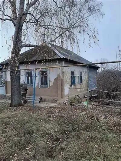 Щигры. Авито щигры недвижимость. Щигры. Откапать на дому щигры. Щигры курская область ул черняховского дом 16.