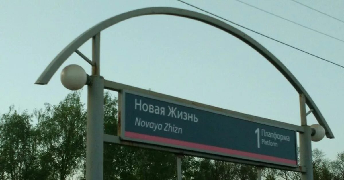 Шнитов новая жизнь