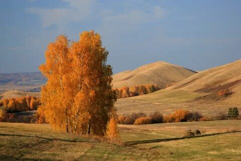 Оренбургская