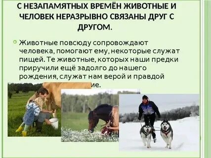 Почему животные полезны