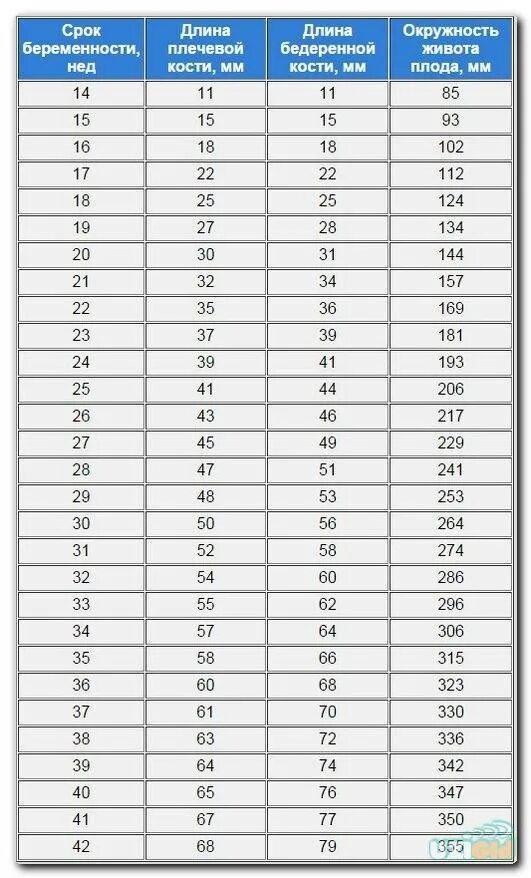 32 неделя беременности размеры. Длина плечевой кости плода по неделям беременности таблица. Вес плода 12 недель беременности норма. Длина бедра плода в 34 недели беременности норма. Таблица УЗИ плода по неделям нормы.