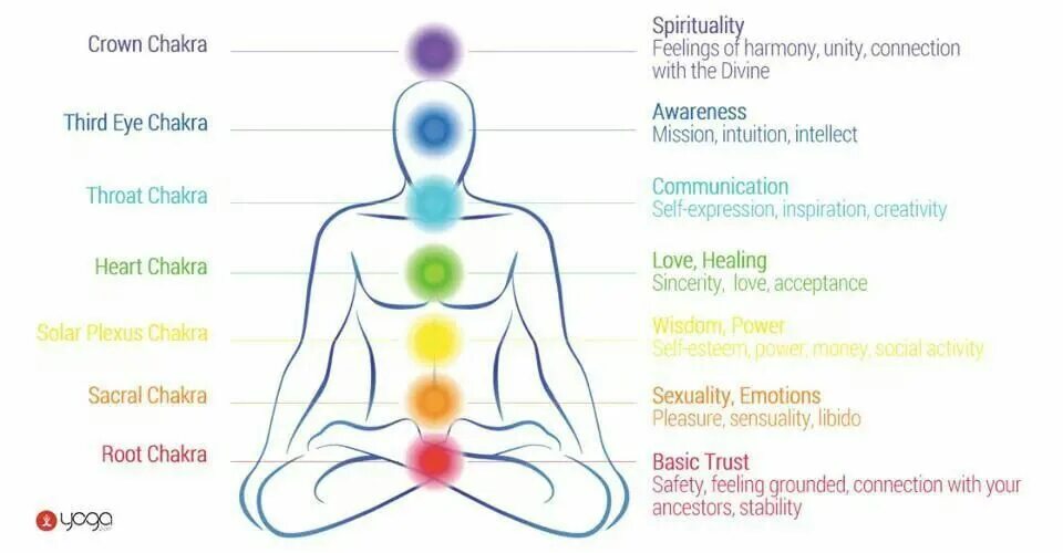 Chakra system of human body chart. Seven chakra symbols. Location information of