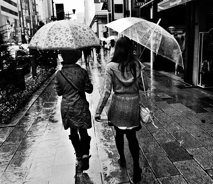 If it we won't go to the park. Use the right forms of. I stay at home if it rain this afternoon ответы. Use the required form. If it rains i will stay at home.