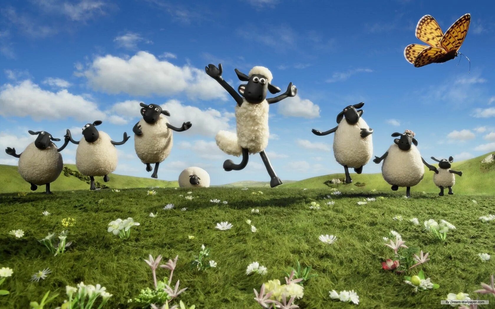 When the sheep