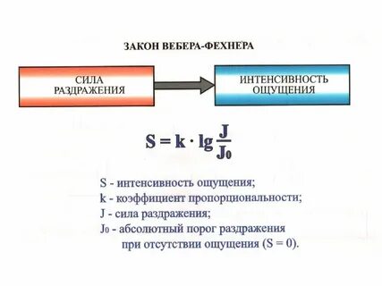 Законы ощущений