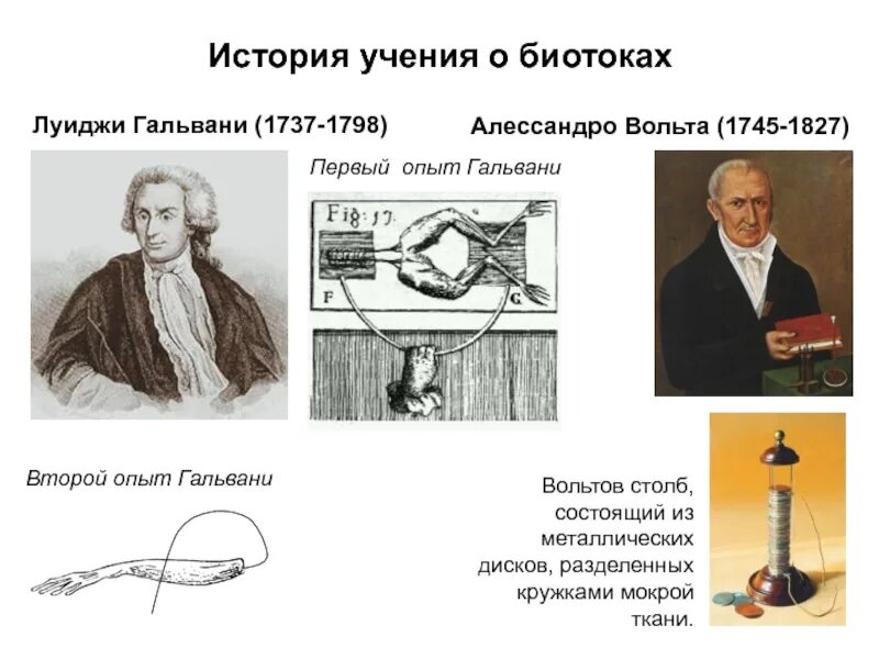 Первый опыт мм. Луиджи Гальвани и Алессандро вольта. Луиджи Гальвани (1737–1798 гг.),. Опыт Алессандро вольта. Алессандро вольта и Луиджи Гальвани открытия.