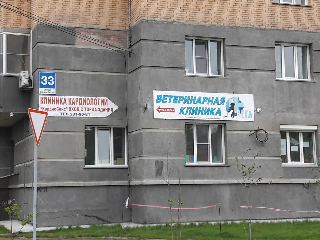 болдина 70 тула. ветклиника на советской. ветклиника рядом круглосуточно на карте. октябрьский проспект 194/1 сыктывкар ветклиника. ветеринарная клиника брянск.