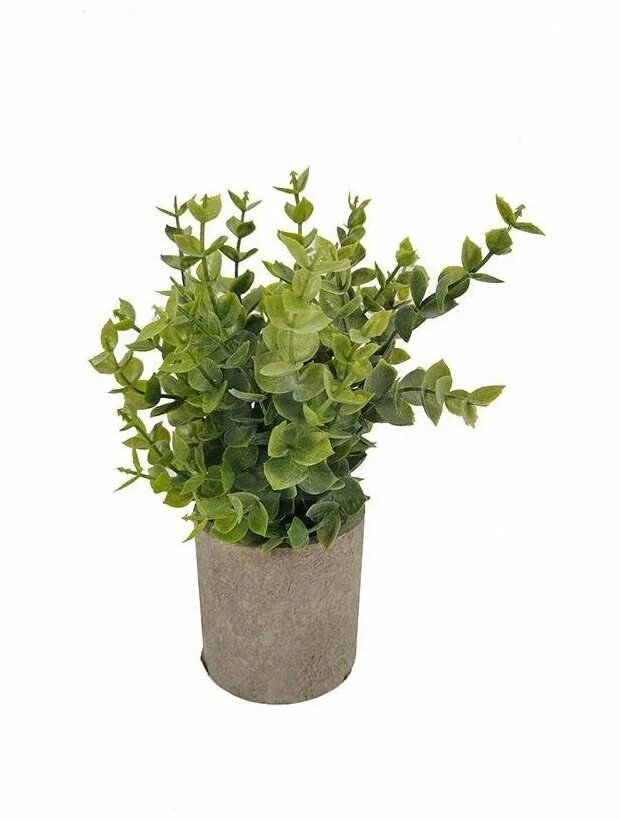 8 в горшочке. десерт цветок в горшке. 8 в горшочке. десерт цветочный горшок. 8 в горшочке.