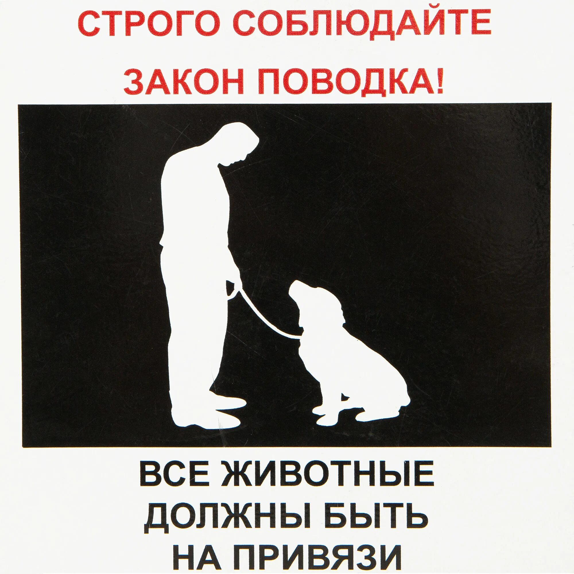 Держите собак на привязи. Объявление о привязи собак. объявление о собаках держать на привязи. табличка собака без привязи.
