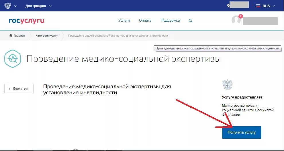 Госуслуги. Госуслуги инвалидность. Госуслуги заявление. Инвалидность в госуслугах. Опекуном госуслуги