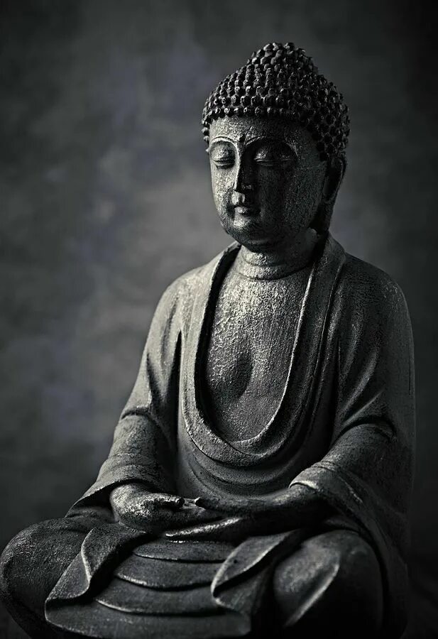 Сиддхартха Гаутама Будда. Сиддхартха Гаутама статуя. Скульптура Будды Гаутамы. Будда Гаутама Шакьямуни чёрно белая.