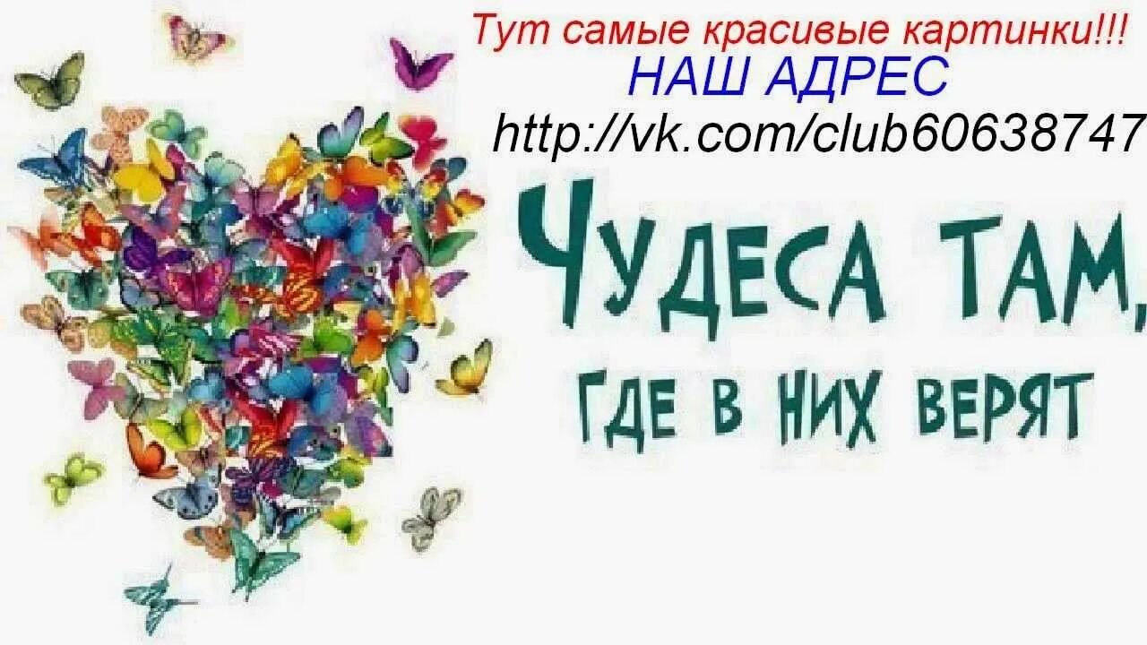 Чудеса случаются 2021 русский. Верьте в чудеса. Чудеса где в них верят. Верю в чудеса. Чудеса там где в них верят надпись.