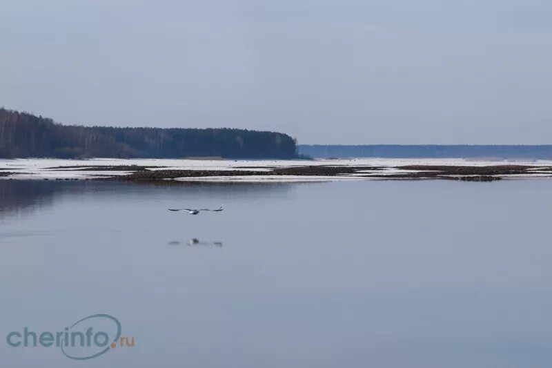 Запрет выхода на лед рыбинское водохранилище. Вичелово Рыбинское водохранилище. Лед Рыбинского водохранилища. Рыбинское водохранилище зима. Рыбинское водохранилище зимой.