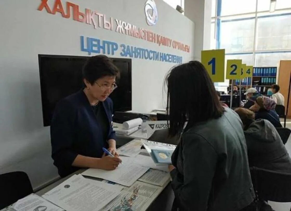 Отдел занятости караганда. Отдел занятости и социальных программ. Центр занятости караганда. Караганда ержанова. Отдел занятости караганда.