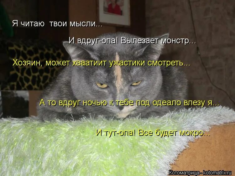 Случайно твоя читать