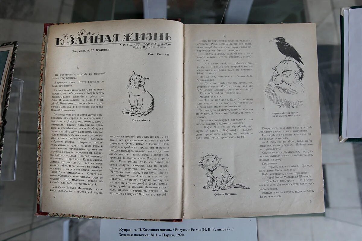 Куприн рассказы читать полностью. Куприн сказка егэ. иллюстрация к сказке .. куприна. сочинение 9.2 перст куприна.