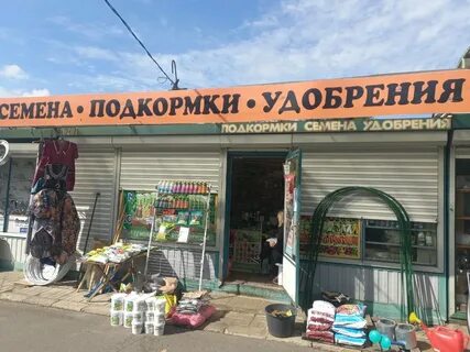 Могилев семена интернет