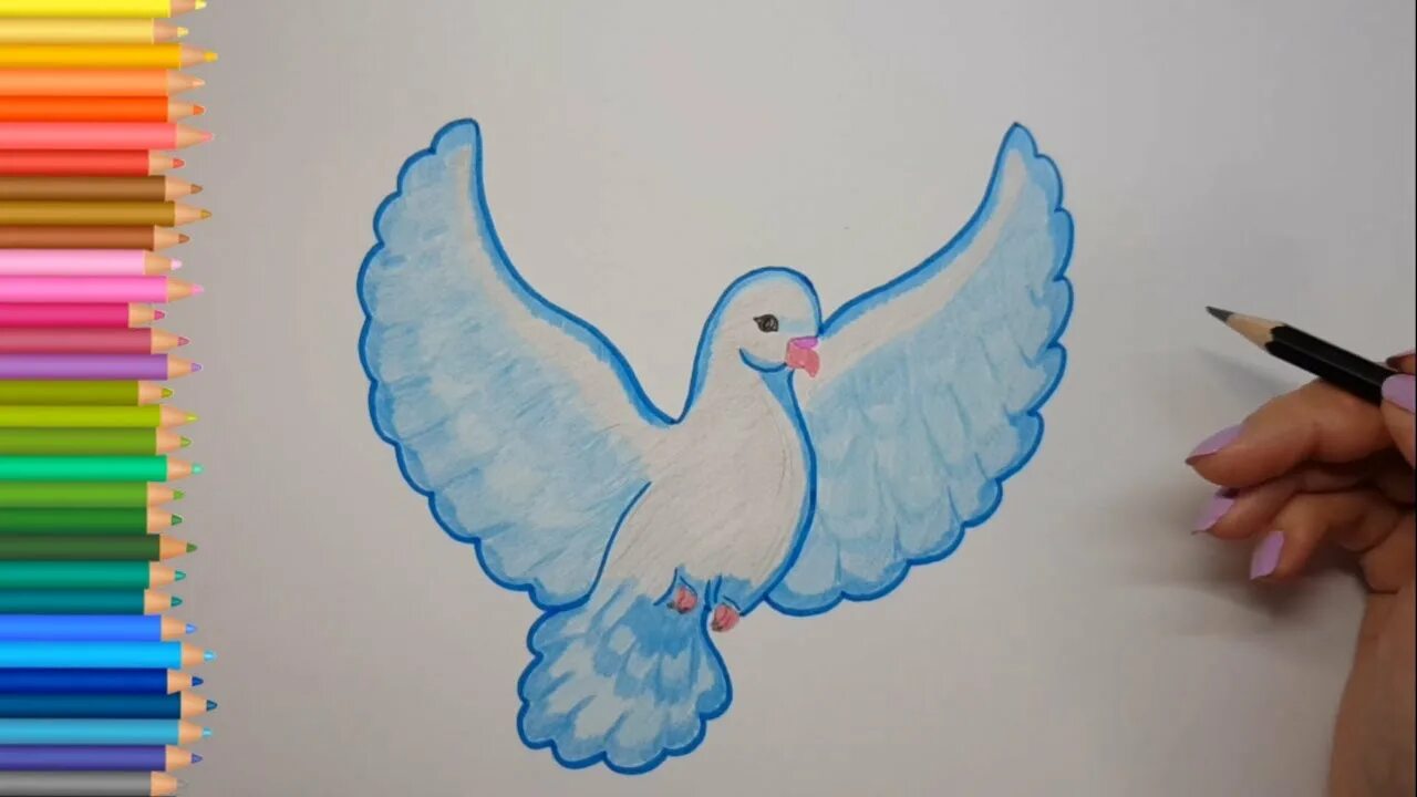 Голубы как рисовать. Рисунок голубя для срисовки. голубь для срисовки. голубь цветными карандашами. голубые рисунки для срисовки.