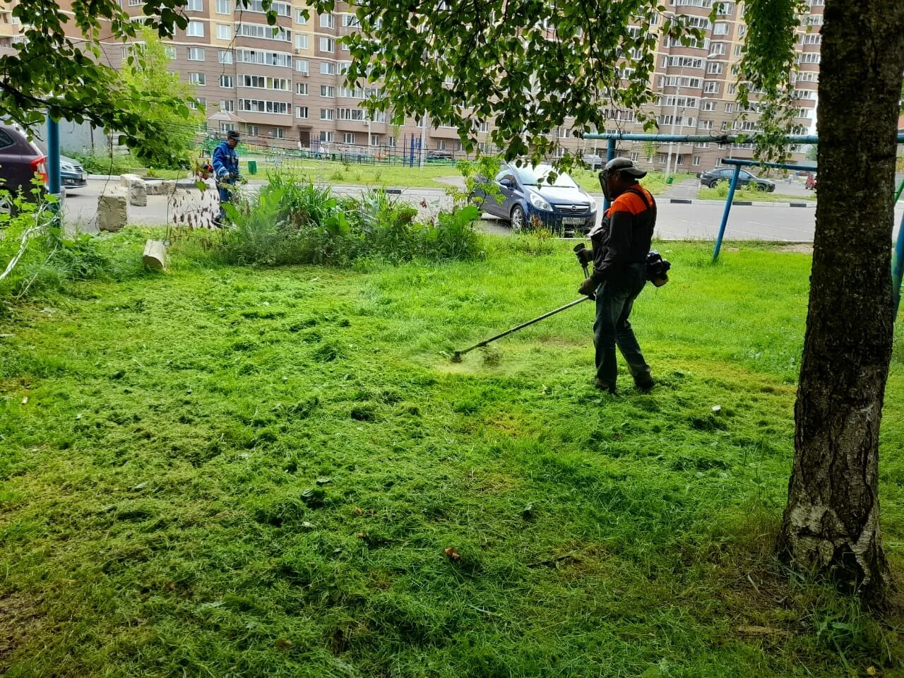 искусственная трава на даче. трава на прилегающей территории. искусственный газон на даче. трава на прилегающей территории. трава на прилегающей территории.