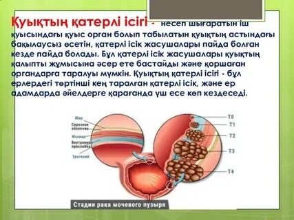 Әйелдер фитнес порно