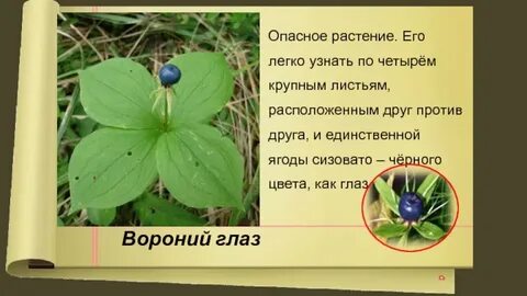 Характерная ядовитая