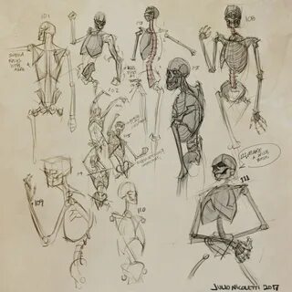 Теория рисунка