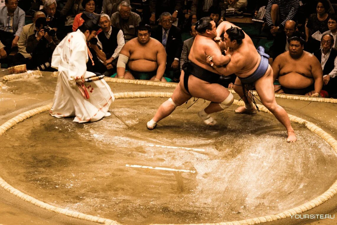 Сумо боевые искусства Японии. Схватки двух якодзун