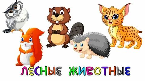 Учим животных леса