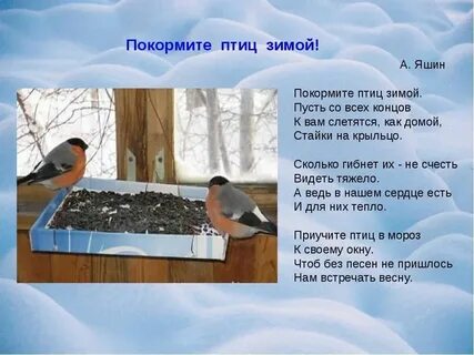 Стихи про птиц зимой