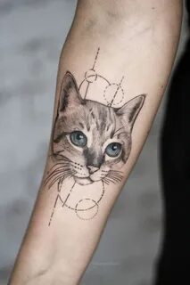 Тату кошка