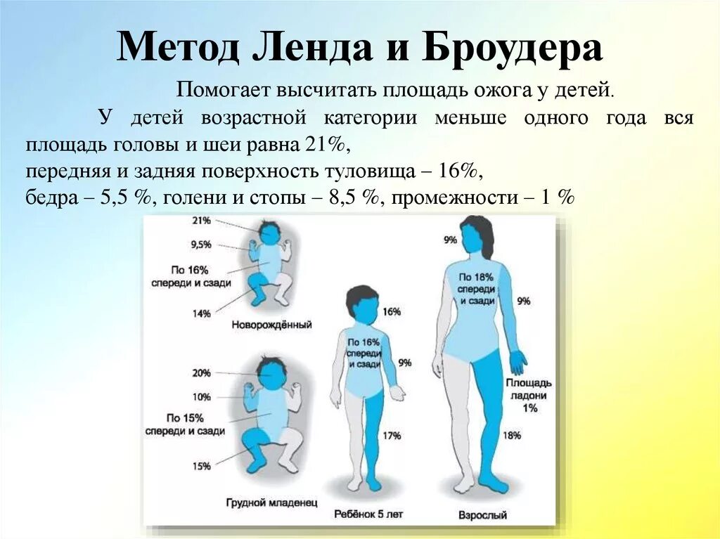 Ожоги проценты поражения. Как рассчитывается площадь ожога у детей. Оценка степени площади ожогов. Метод определения площади ожога и степени. Подсчет площади ожога у детей.