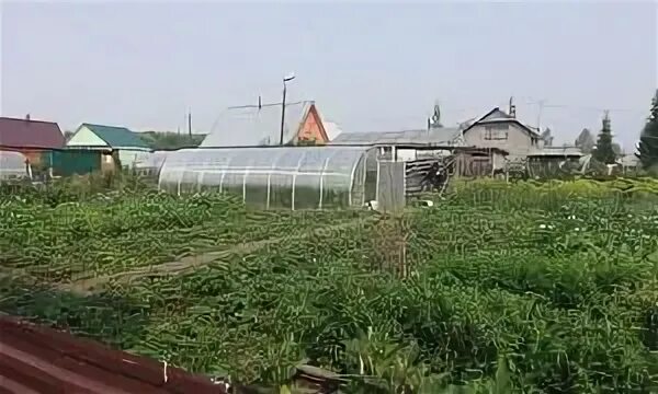 садовое общество строитель кемерово. дача кемерово свежие. садовое общество азотовец кемерово. дача кемерово свежие. недорогие дачи кемерово.