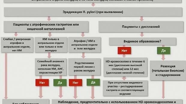 Эрадикационная терапия хеликобактер пилори 1 линия. Схема эрадикации хеликобактер пилори 1 линия. Схемы эрадикации хеликобактер пилори 2021. Эрадикация хеликобактер пилори схемы 2023. Эрадикационная терапия хеликобактер пилори схемы.
