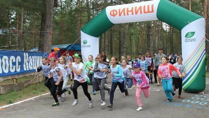 Лагерь крылатых барнаул. Детский лагерь крылатых Барнаул. Детский лагерь крылатых Алтайский край. Детский оздоровительный лагерь крылатый.