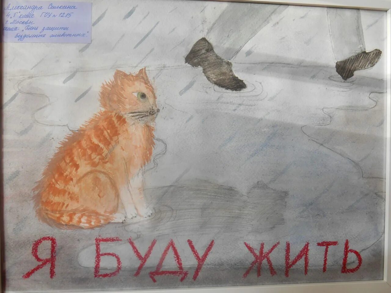 Которые в ответе за. Рисунок на тему бездомные животные. мы в ответе за тех кого приручили конкурс. мы в ответе кого приручили рисунки. мы в ответе за тех кого приручили рисунок.