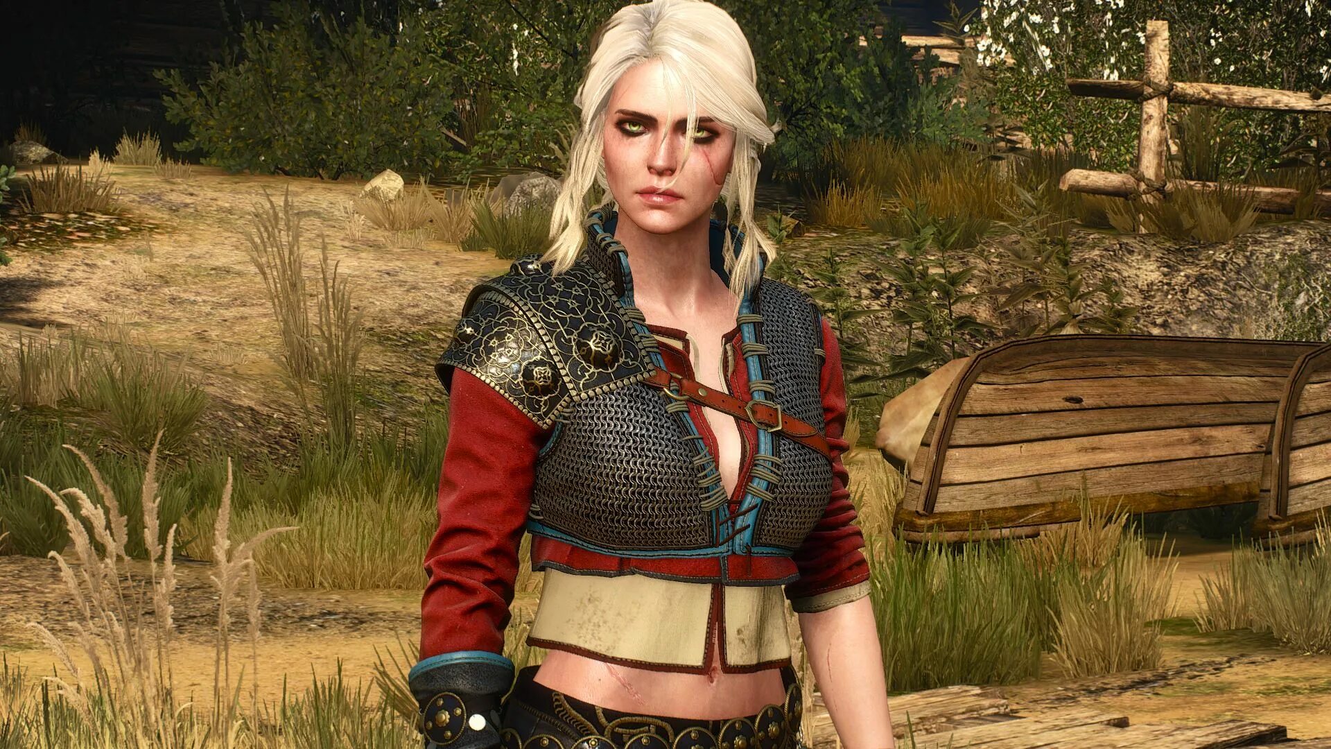 Witcher me. Witcher 3. ведьмак дикая охота цири. дерьмак 3. ведьмак 4.
