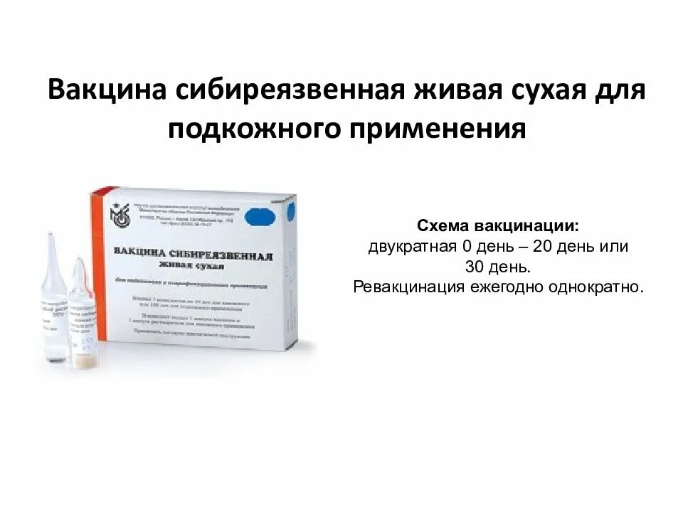 Подкожное введение вакцины. Сибиреязвенная вакцина сти. Сухая сибиреязвенная вакцина. Вакцина туляремийная Живая сухая. Сибиреязвенная вакцина Терентьева.