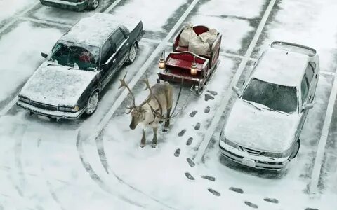 Но в целом