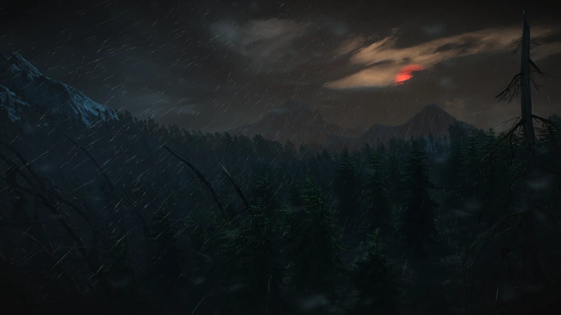 Witcher 3 вылетает