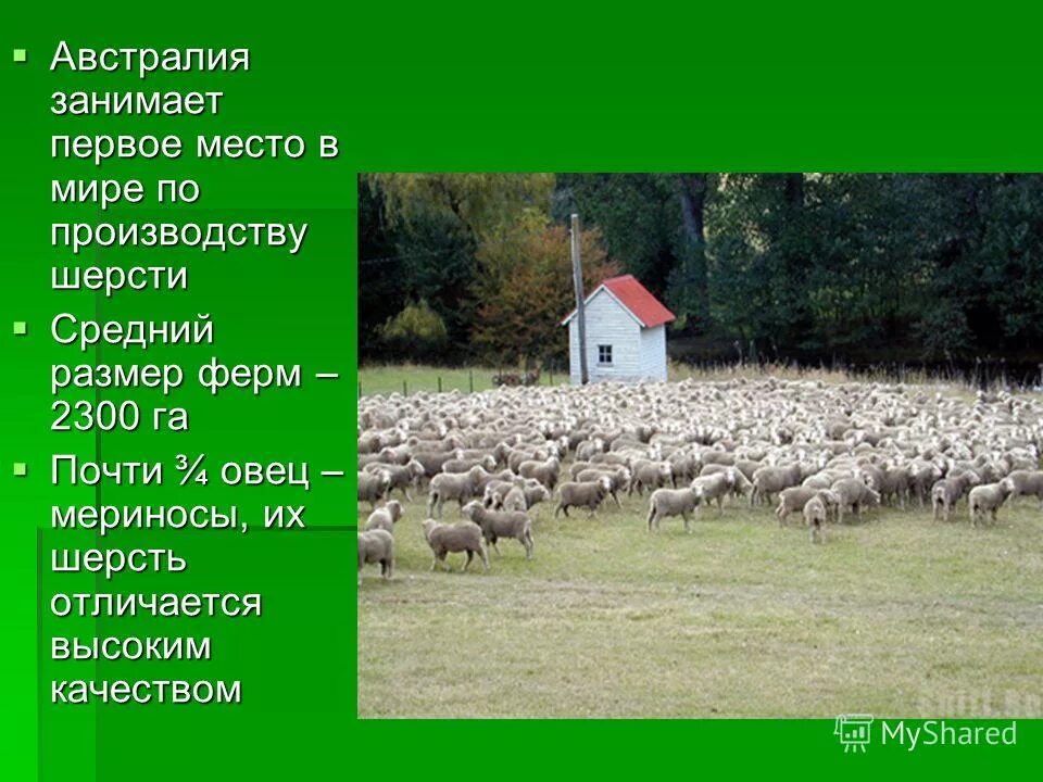 австралия map. крупные государства материка австралия. полезные ископаемые австралии кратко. австралия занимает ведущие места в мире по. австралийский союз на карте австралии.