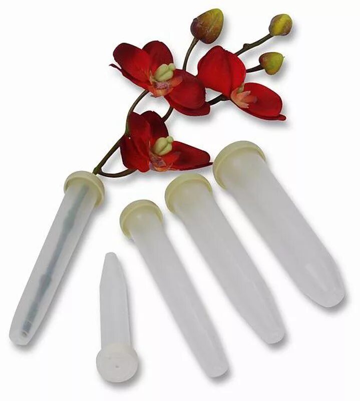Орхидея в капсуле как ухаживать. Орхидеи в капсулах. Орхидея в пробирке. Емкость для срезанных цветов. Капсула для букета.