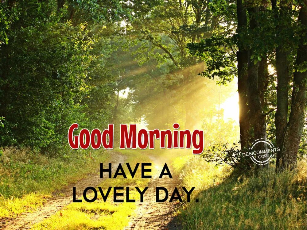 Make this day good. Good Day фото. Good morning have a great Day картинки. Good morning have a wonderful Day. Good morning have a nice Day.