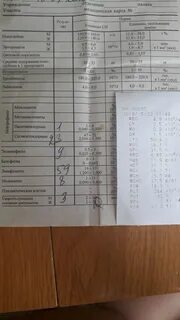 Расшифровка анализов врачом