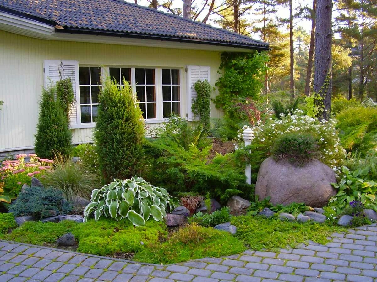 Фото ландшафтного дизайна в загородном доме. Хвойный рокарий миксбордер. Ландшафт хвойники в палисаднике. Скандинавский сад Front Yard.