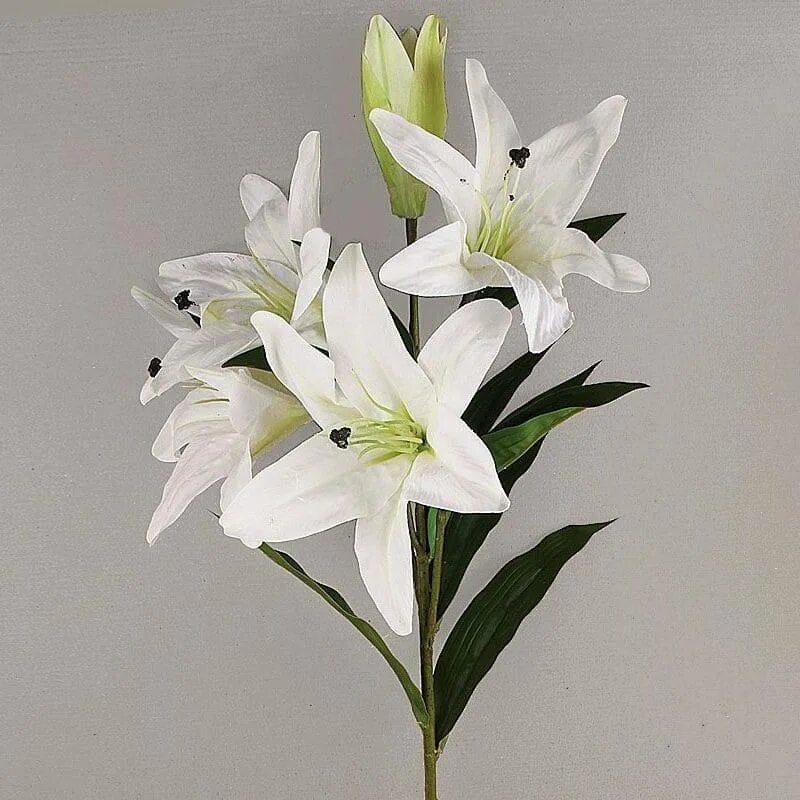 Сколько стоят цветы лилии. Лилия Форевер белая. Лилия Королевская белая. Лилия Сантандер. Лилия Королевская срезка.