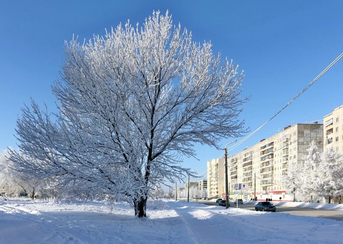 Климат ЗКО Уральск. ЗКО город Аксай Караганда. Зимний Аксай. Уральск зимой. Погода город уральского