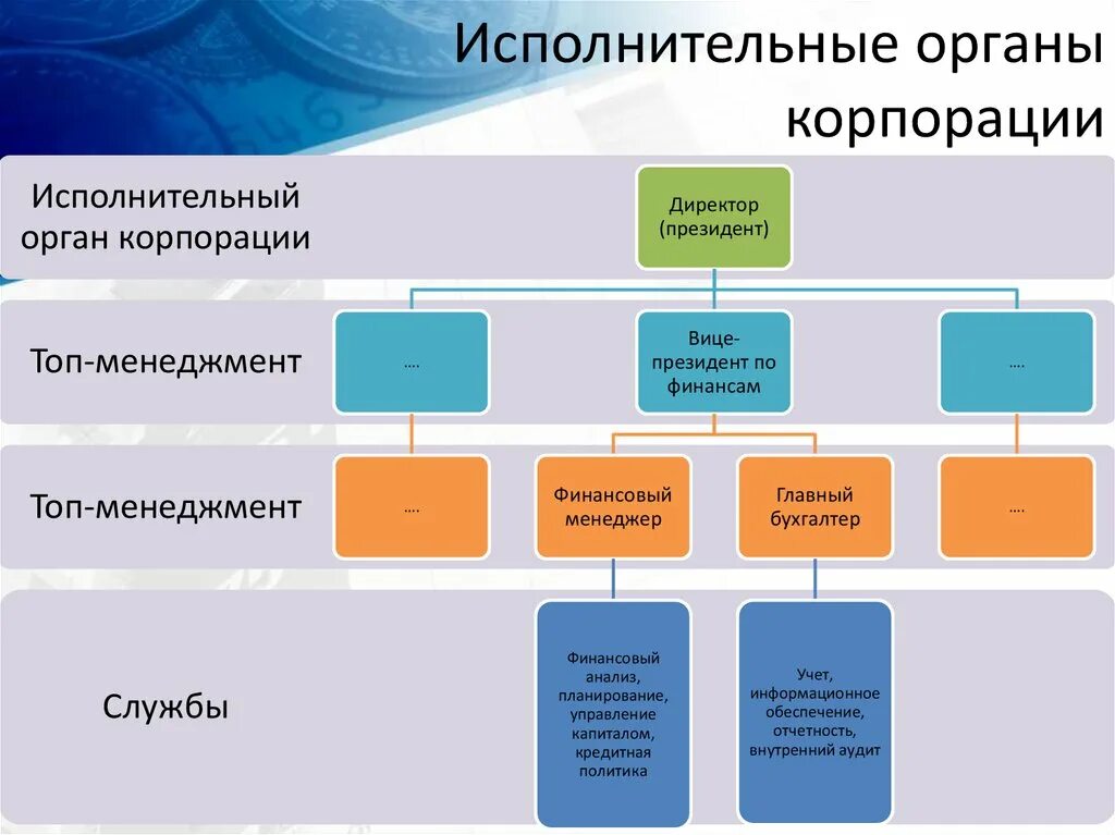 Примеры исполнительного органа общества. Органы корпорации. Исполнительный орган корпорации. Органы управления корпорацией. Исполнительные органы управления.