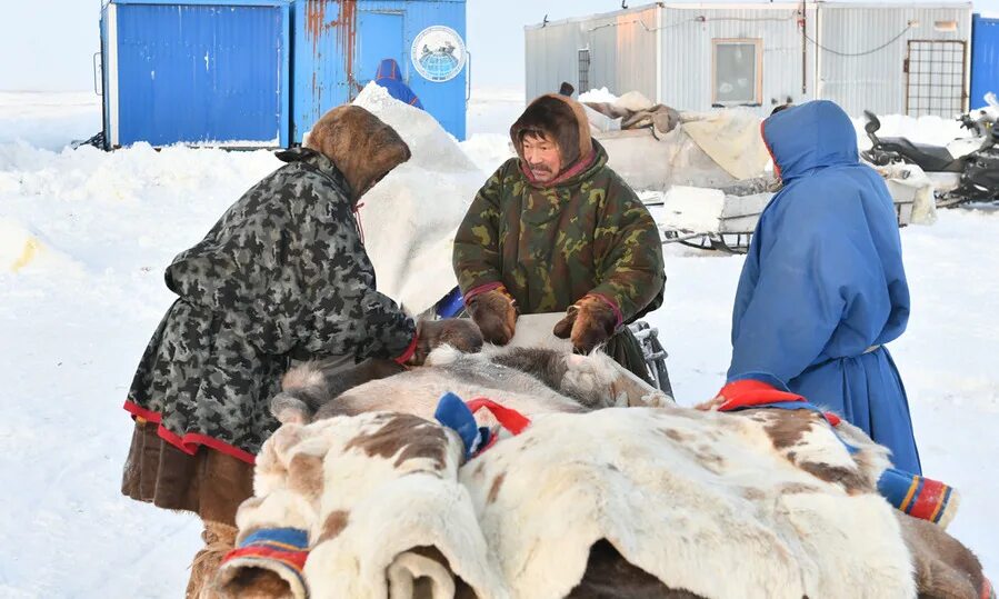 Кадры ямал. Поселок тазовский ямало-ненецкий автономный округ. тазовский поселок ямало-ненецкого автономного. поселок антипаюта янао.