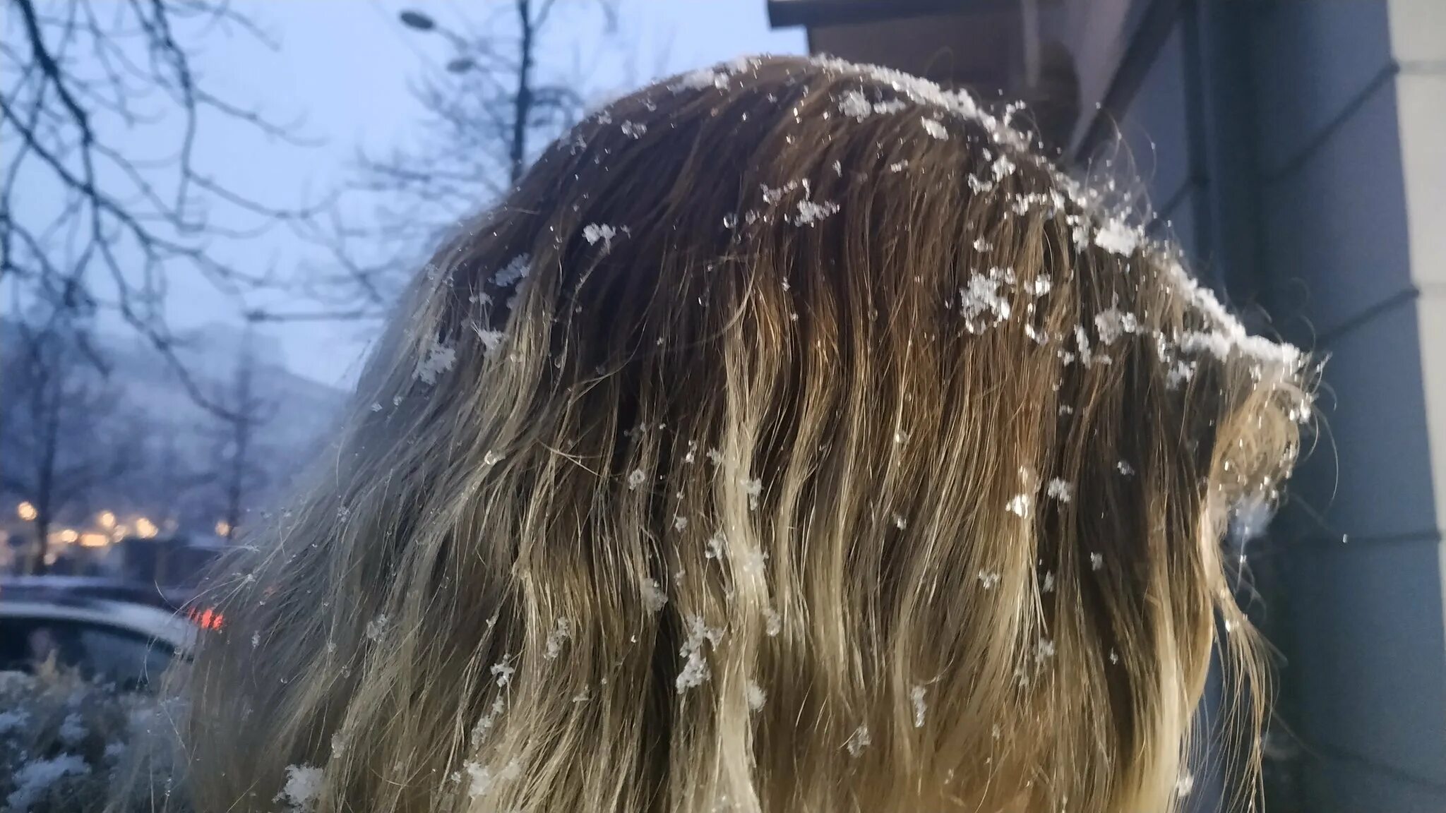 Снег растаял деад. Снег на волосах. Снежинки на волосах. Снег на волосах девушки. Снежок для волос.